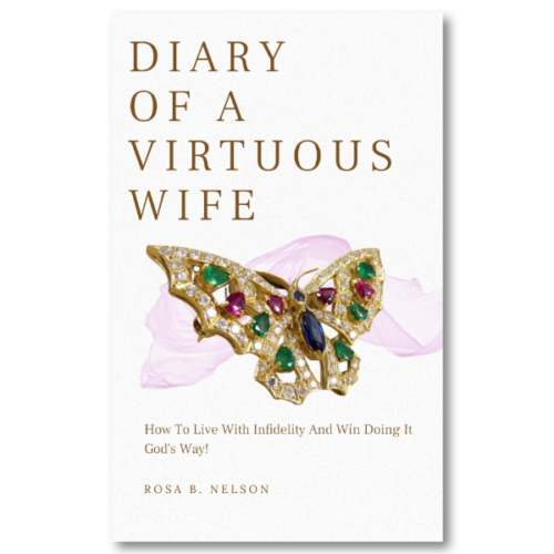 DIARY OF A VIRTUOS WIFE BOOK COVER